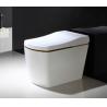 110V / 220V Electric Smart Toilet Smart Bidet Toilet Automatic Deodorization