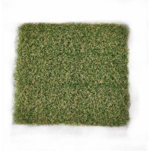 China Indoor SGS Artificial Golf Turf Grass 15mm Putting Green supplier