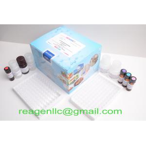 China Total Protein Assay Kit supplier