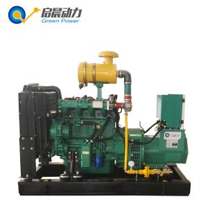 China 8KW Portable Generator for Sale Biogas/Natural Gas/LPG Generator supplier