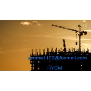 China HYCM Top Slewing Types of Tower Cranes Specification TC5612 6T Load 56m Jib Length supplier