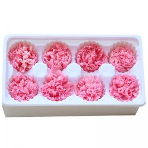 China Factory Price Preserved Flowers Real Preserved Carnation For Mother supplier