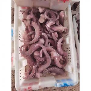 China For Thailand Fish Market A Grade IQF Frozen Indian Squid Tentacles Cut Wholes supplier