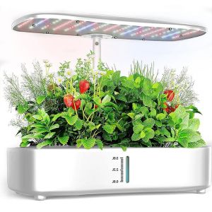 China Vegetais 12 cápsulas casa pequeno jardim hidroponia sistema de crescimento diário crescimento 24w controle inteligente 3.8L grande volume supplier