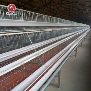 China A Shape Battery Chicken Cage With Full Automatic System Chicken Farm supplier