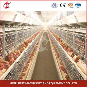 Hot Galvanized Broiler Transport Cage Silver Color Durable Reliable Mia