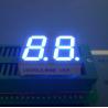 Various Colours Surface Mount Dual Digit 7 Segment LED Display 0.36 Inch For