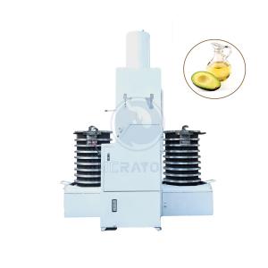 6YY-250D-DS 75kg/h avocado oil extraction machine