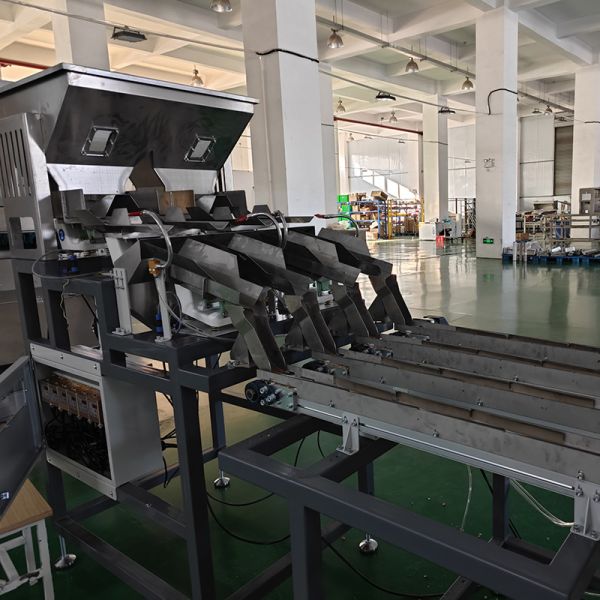 KM-TECH 自動光学乾燥バナナチップ選別機 -5～35℃ 動作温度