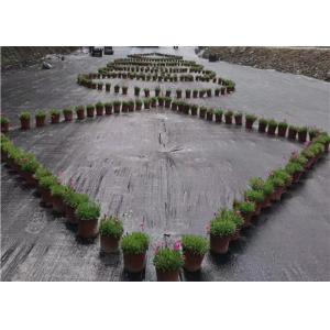 100gsm Black Weed Control Ground Cover PP Woven Fabric PP Woven Ground Cover