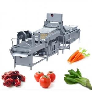 China 10.75kw 300kg/h Vegetables Washing Drying Machine supplier