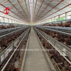 China Export Quality Battery Broiler Chicken Cage Automatic Nigeria Star