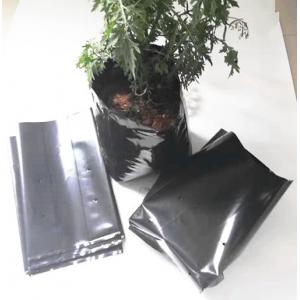 Polyethylene black grow bags plastic seeding nursery bags