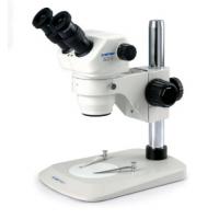 China Binocular microscope on sale