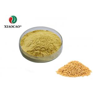 China Food Grade Freeze Dried Powder Organic Fenugreek Powder High Purity wholesale
