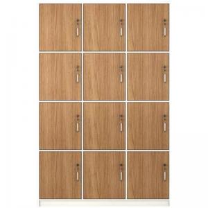 Solid Wood PANEL Employee Locker with Locking Storage Room for Gym Bathroom Dormitory