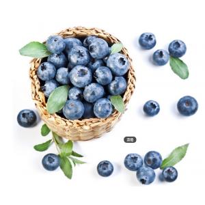 2015 TOP hot selling Bilberry Extract