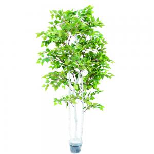 China Ornamental Plant Artificial Radermachera Sinica Natural Greening For Home Decoration supplier