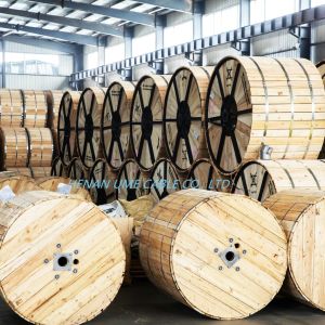 Direct Tinned Copper Conductor PVC Insulated LV Power Cable for Underground Power Line