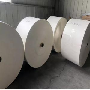 OEM 190gsm 260gsm PE Coated Cup Stock Paper In Roll Sheet