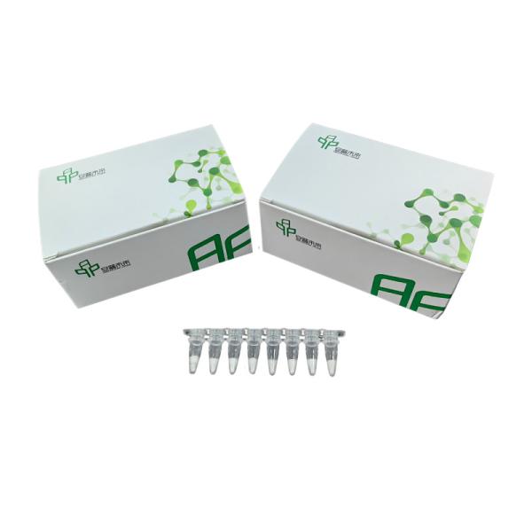 Convenient Rapid Self Test Kit 48 Reactions Components Buffer