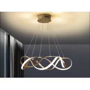 China Acrylic Lampshade Power 33w 50w 69w Iron Gold Modern Ring Light supplier