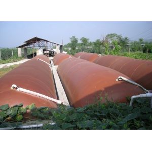 China Low Pressure Biogas Digester Tank Featuring Anaerobic Digestion Function Ideal for Waste Treatment and Renewable Energy Generation Applications wholesale
