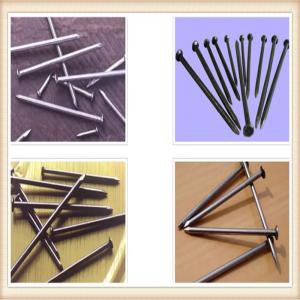 China Competitive price common nails ,coil nails supplier supplier