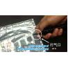 OEM/ODM China Plastic Bubble Cushion Wrap Air Bubble Film Packaging For