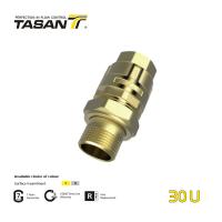 China OEM Female X Male 1.5 inch Brass Check Valve 16Bar With Plate And Union Nut 30U on sale