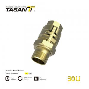 China OEM Female X Male 1.5 inch Brass Check Valve 16Bar With Plate And Union Nut 30U supplier