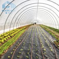 China Single Span Pe Film Tunnel Plastic Greenhouse Hydroponic Agriculture Tunnel Plastic Greenhouse on sale