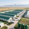 China Complete Raising Solutions Automatic Chicken Breeding Prefab Poultry Building wholesale