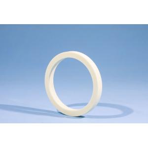 China Advanced Electronic Ceramic Ring for semiconductor wholesale