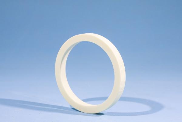 Advanced Electronic Ceramic Ring for semiconductor