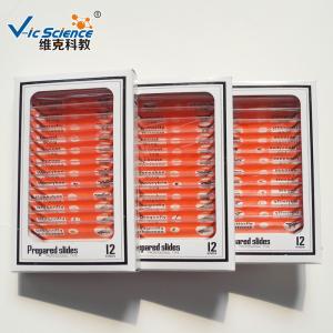 High Grade Plastic Microscope Slides For Kids 12pcs / Set Insect Series