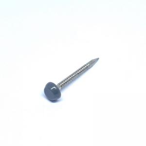 China 25mm A4 Stainless Steel Plastic Head Nails For Construction And Cladding supplier