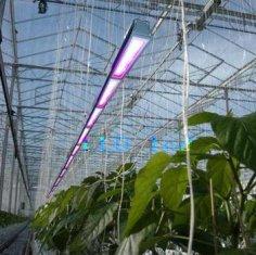 18W 110V 1600 Lumen High Efficiency Hydroponic Fluorescent Led Grow Light Panels