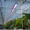 18W 110V 1600 Lumen High Efficiency Hydroponic Fluorescent Led Grow Light Panels