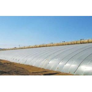 PE White and Colors Agricultural Film 30mm-1000mm width 0.01mm-0.15mm thickness Mulch film