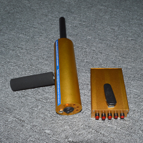 40 personas/zona de detección mínima de Rate Archway Metal Detector With 6 del paso