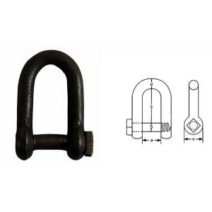 China Galvanized Hoist Accessories Lifting D Shackle Chain With Square Head Screw Pin supplier