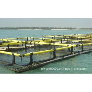 China HDPE Floating Fish Cage with Long Life and Easy Net Replacement Featuring Grid Mooring System for Aquaculture wholesale