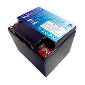 China 12V LiFePO4 Batteries 60Ah Lithium Ion for RV/Yacht/UPS/Solar/Golf car wholesale