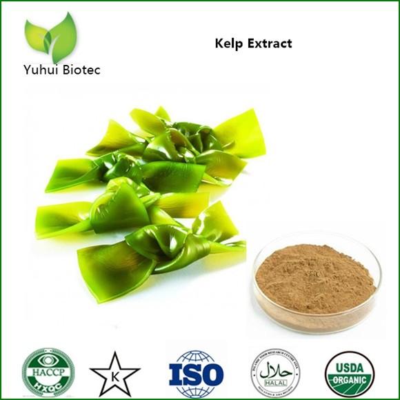 fucoxanthin supplement,fucoxanthin powder 10%,kelp p.e.,kelp seaweed powder