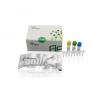 China Stable PCR Isothermal Amplification Kit For Genetic Engineering wholesale