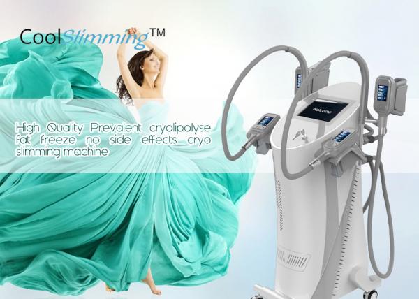 Cryotherapy Fat Freezing Machine With Ergonomic Hand Pieces User Friendly