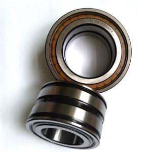 China Full Complement Cylindrical Roller Bearings SL04 5010 PP supplier