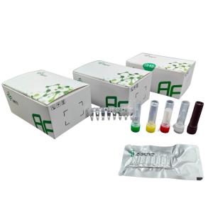 China Quick Accurate Diagnosis Mycoplasma Pneumoniae Isothermal Pathogen Detection Kit wholesale