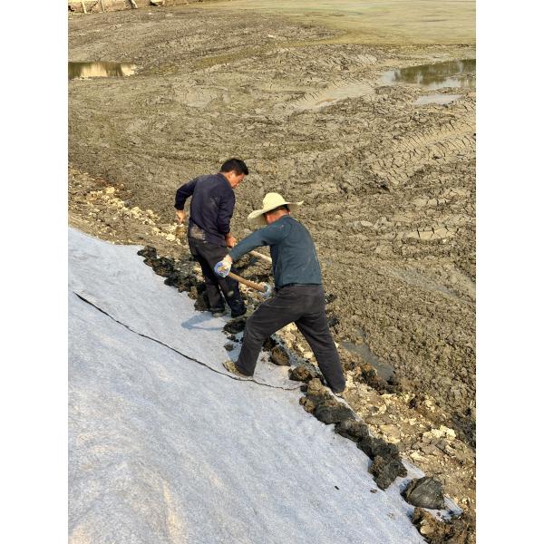 Cement Infused Geosynthetic Blanket (CCB)   Deploy. Hydrate. Harden.